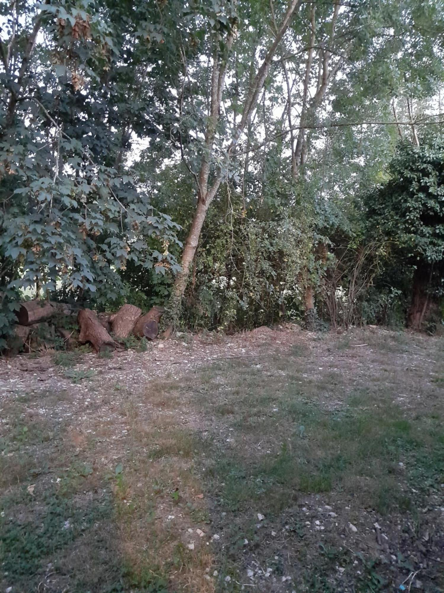 Chambre D'Hote Lägenhet Courtenay  Exteriör bild